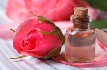 Rose Oil in Skin Care: Benefits, Uses, and Drawbacks