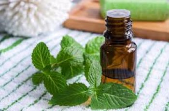 Peppermint Oil Benefits and Risks in Skin Care Routines