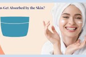 Maximizing Skin Absorption: How Cosmeceuticals Penetrate the Skin Barrier