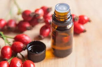 Rosehip Oil in Skin Care: Benefits, Uses, and Safety