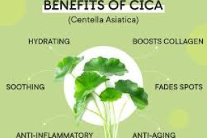 Cica for Skin: Anti-Aging, Soothing, and Repair Benefits