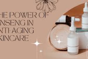 Ginseng for Anti-Aging, Hydration, and Collagen Boosting in Skincare