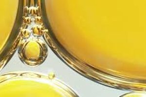Milk Thistle for Skin: Nature’s Remedy for Aging & Irritation