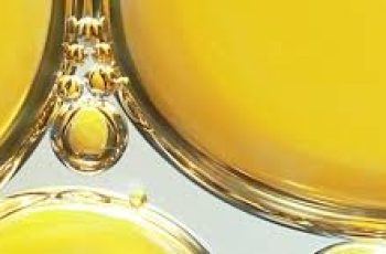 Milk Thistle for Skin: Nature’s Remedy for Aging & Irritation