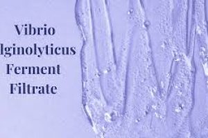 Vibrio Alginolyticus Ferment Filtrate: Powerful Hydration and Skin Renewal