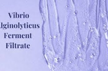 Vibrio Alginolyticus Ferment Filtrate: Powerful Hydration and Skin Renewal