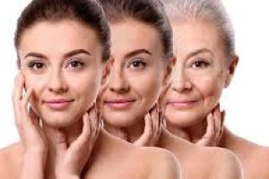 Scientific Insights into Causes and Prevention of Skin Aging
