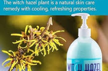 Witch Hazel Extract: The Ultimate Natural Skincare Miracle