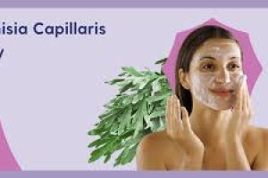 Artemisia Capillaris in Skincare: Brightening Power for Sensitive Skin