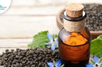 Borage Seed Oil Benefits and Uses: A Guide to Glowing Skin