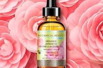 Camellia Japonica Seed Oil: Hydration, Anti-Aging, and Barrier Support
