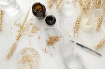 Niacinamide + Azelaic Acid: The Ultimate Guide to Layering for Clearer Skin Niacinamide + Azelaic Acid: The Ultimate Guide to Layering for Clearer Skin