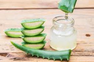 Aloe Vera in Skincare: Nature’s Soothing, Healing, and Hydrating Miracle